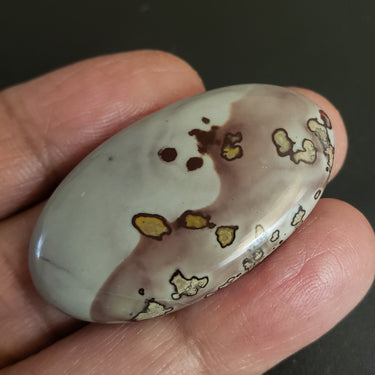 Natural Coffee Bean Jasper Cabochon. Size- approx. 43x25mm